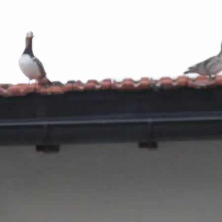 호텔 Chalet Tannenrain & Casa Alba